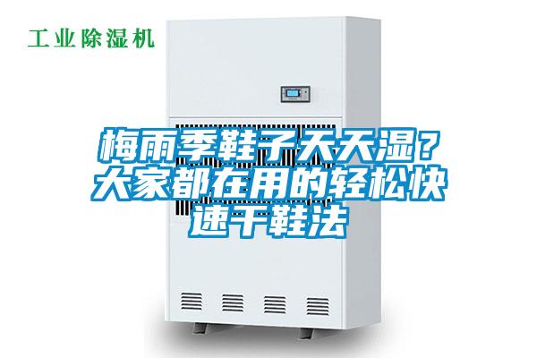 梅雨季鞋子天天濕？大家都在用的輕松快速干鞋法