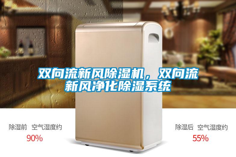 雙向流新風除濕機,雙向流新風凈化除濕系統