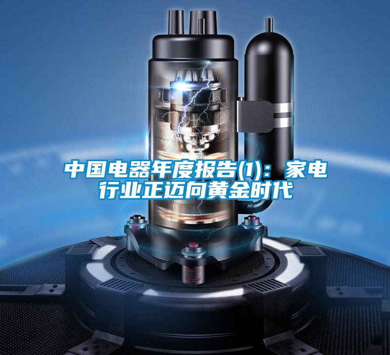 中國電器年度報告(1)：家電行業正邁向黃金時代
