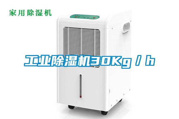 工業除濕機30Kg/h