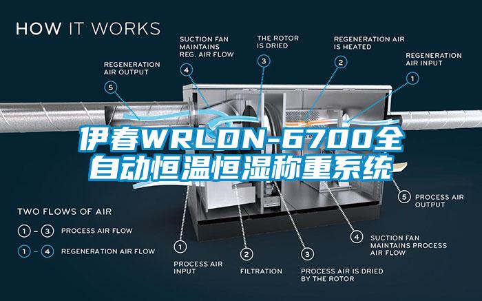 伊春WRLDN-6700全自動恒溫恒濕稱重系統