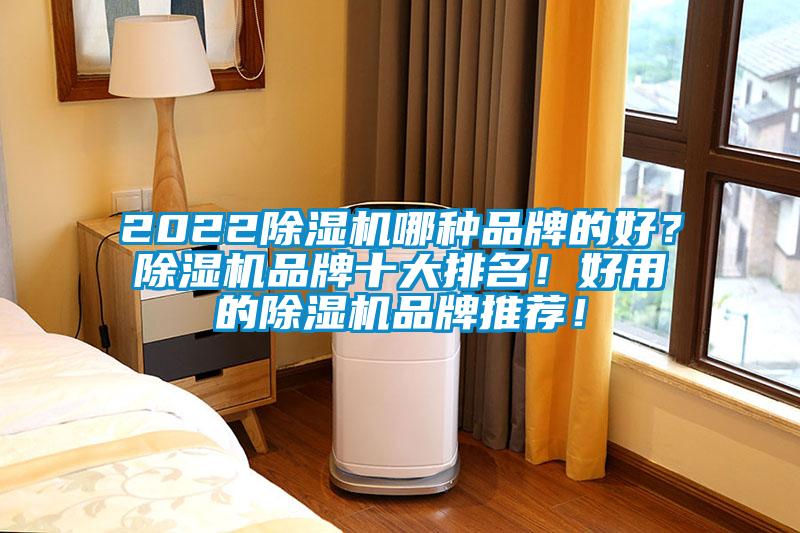 2022除濕機哪種品牌的好?除濕機品牌十大排名!好用的除濕機品牌推薦!