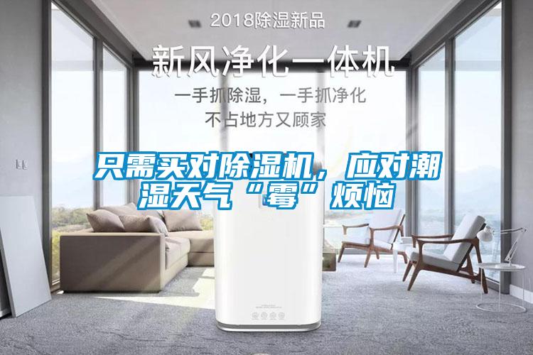 只需買對除濕機，應對潮濕天氣“霉”煩惱