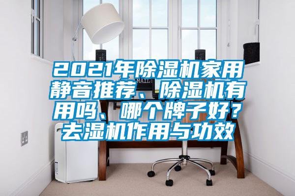 2021年除濕機(jī)家用靜音推薦、除濕機(jī)有用嗎、哪個(gè)牌子好？去濕機(jī)作用與功效