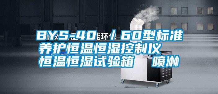 BYS-40 ／60型標準養護恒溫恒濕控制儀  恒溫恒濕試驗箱  噴淋