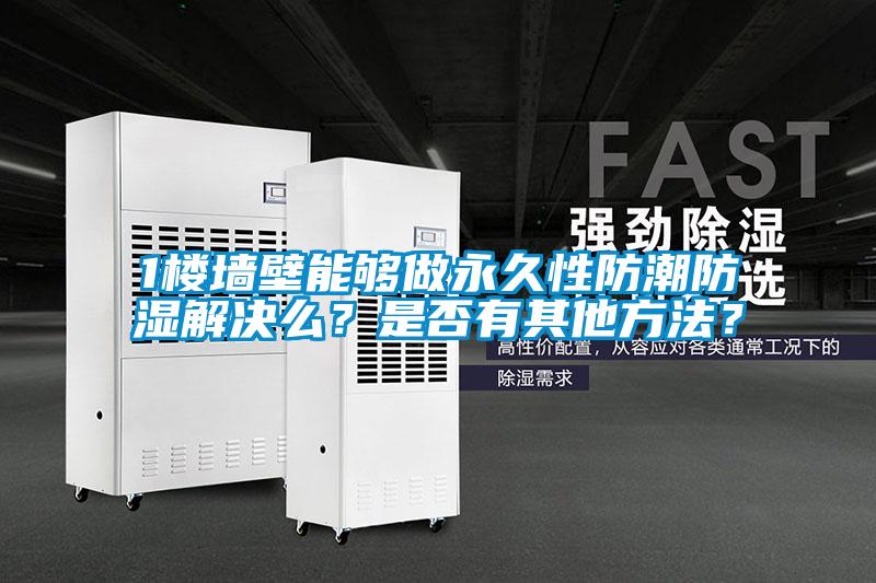 1樓墻壁能夠做永久性防潮防濕解決么？是否有其他方法？