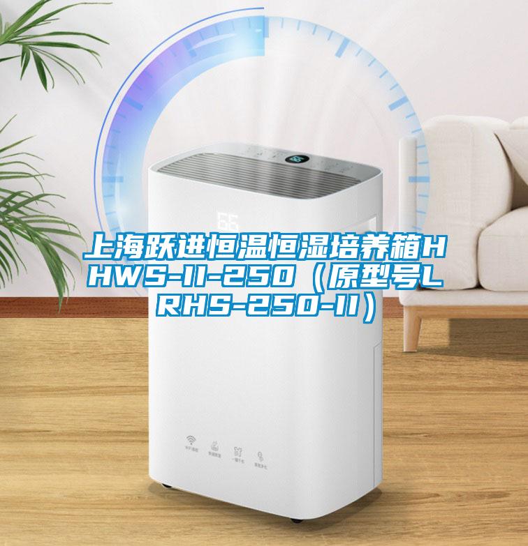 上海躍進恒溫恒濕培養箱HHWS-II-250(原型號LRHS-250-II)