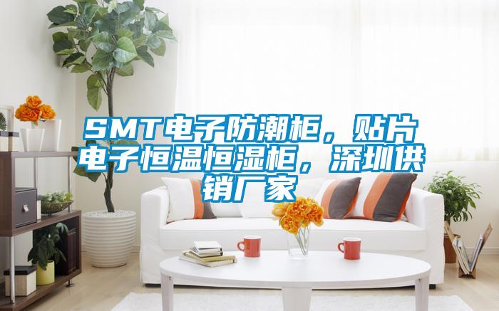 SMT電子防潮柜，貼片電子恒溫恒濕柜，深圳供銷廠家