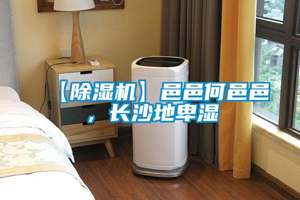 【除濕機】邑邑何邑邑,長沙地卑濕