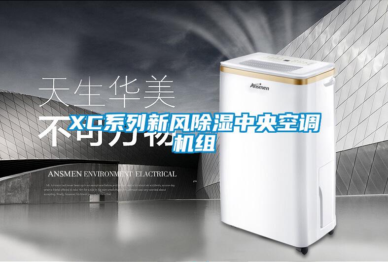 XC系列新風除濕中央空調機組