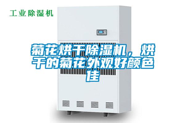 菊花烘干除濕機，烘干的菊花外觀好顏色佳
