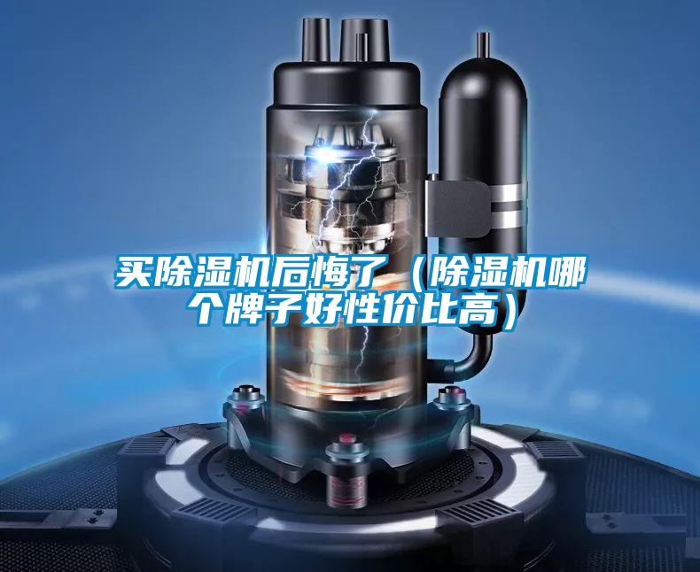買除濕機(jī)后悔了(除濕機(jī)哪個(gè)牌子好性價(jià)比高)