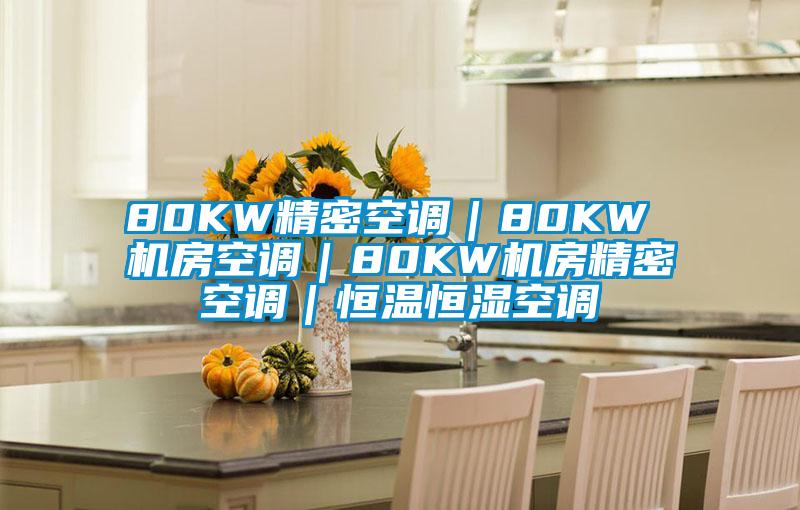 80KW精密空調(diào)|80KW 機(jī)房空調(diào)|80KW機(jī)房精密空調(diào)|恒溫恒濕空調(diào)