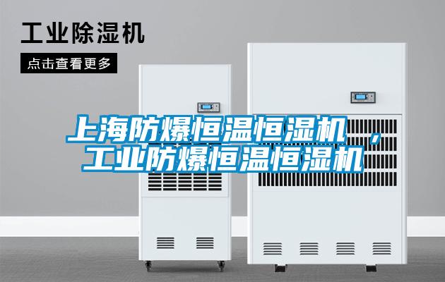 上海防爆恒溫恒濕機 ,工業防爆恒溫恒濕機