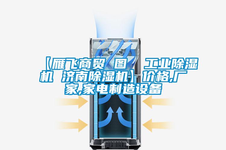 【雁飛商貿 圖 工業除濕機 濟南除濕機】價格,廠家,家電制造設備