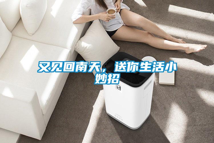 又見回南天,送你生活小妙招