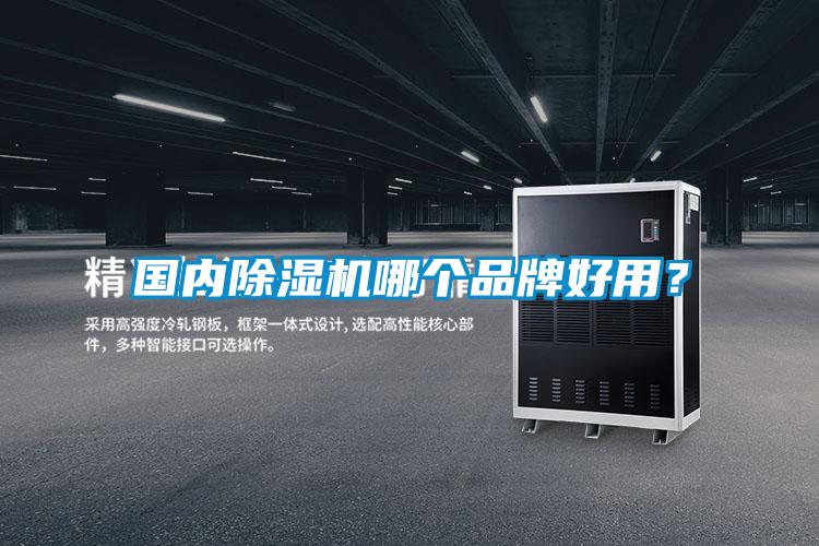 國內(nèi)除濕機(jī)哪個(gè)品牌好用?