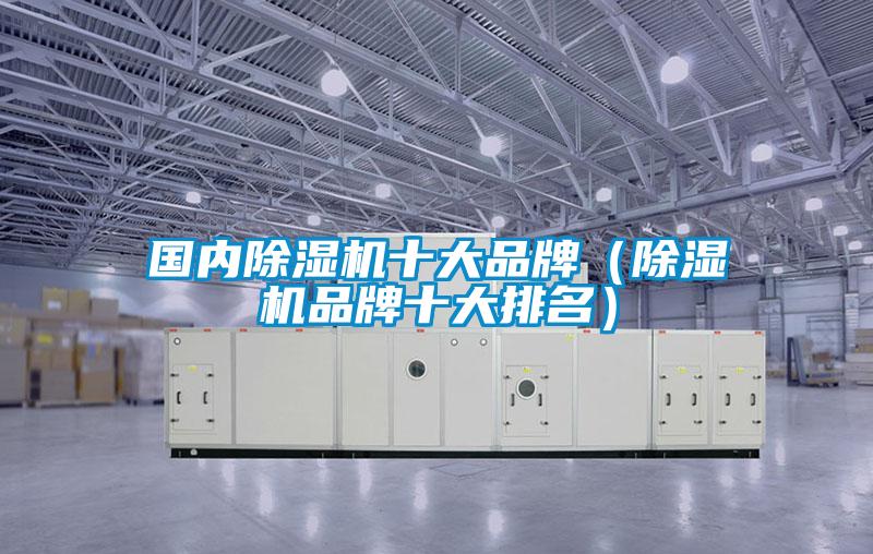 國內(nèi)除濕機(jī)十大品牌(除濕機(jī)品牌十大排名)