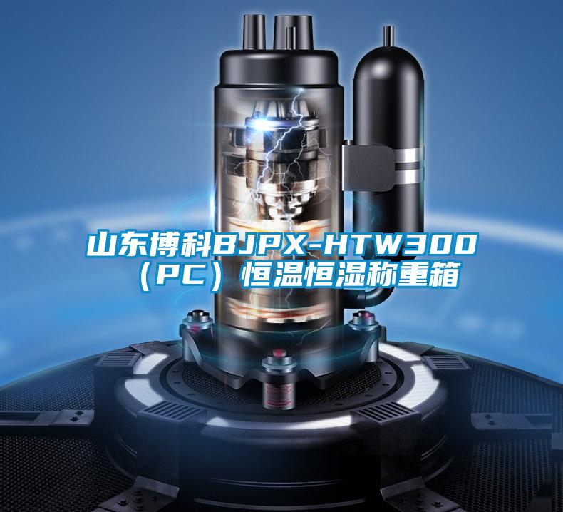 山東博科BJPX-HTW300(PC)恒溫恒濕稱(chēng)重箱