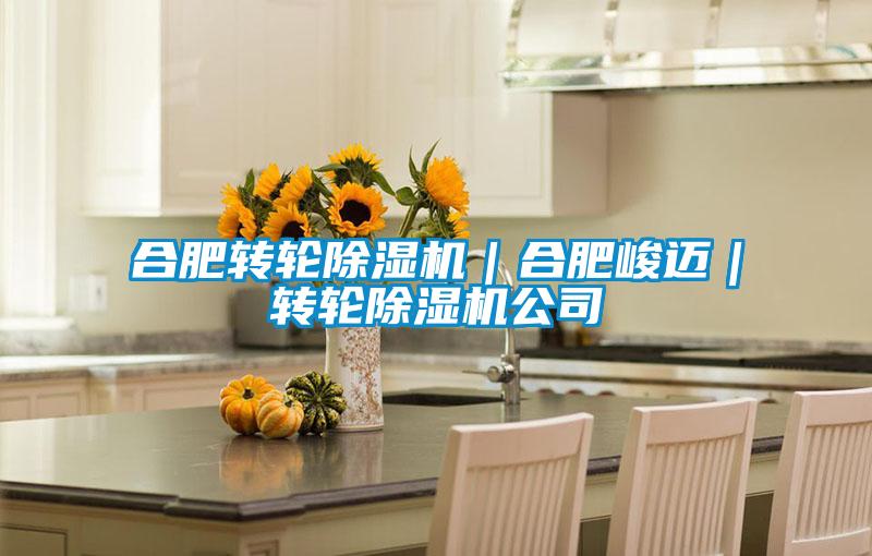合肥轉(zhuǎn)輪除濕機(jī)|合肥峻邁|轉(zhuǎn)輪除濕機(jī)公司