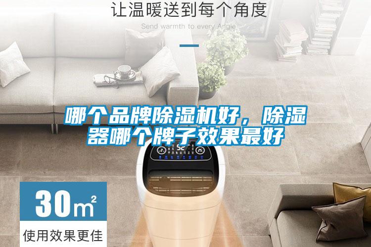 哪個品牌除濕機好，除濕器哪個牌子效果最好
