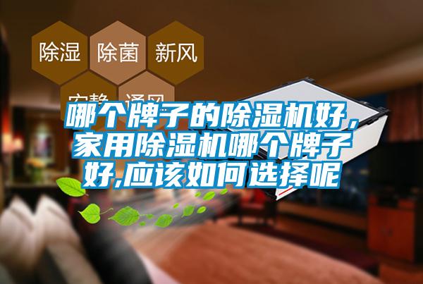 哪個(gè)牌子的除濕機(jī)好，家用除濕機(jī)哪個(gè)牌子好,應(yīng)該如何選擇呢