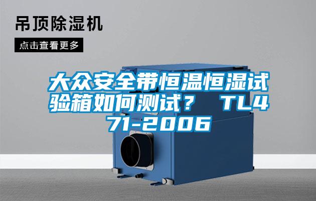 大眾安全帶恒溫恒濕試驗箱如何測試？ TL471-2006