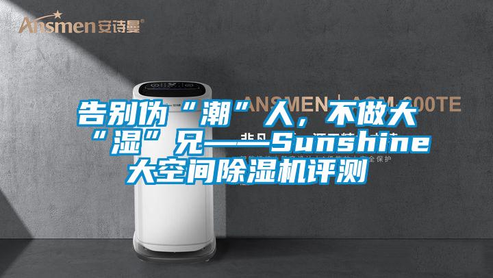 告別偽“潮”人,不做大“濕”兄——Sunshine大空間除濕機評測