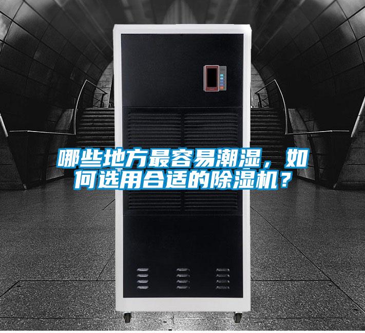 哪些地方最容易潮濕,如何選用合適的除濕機?