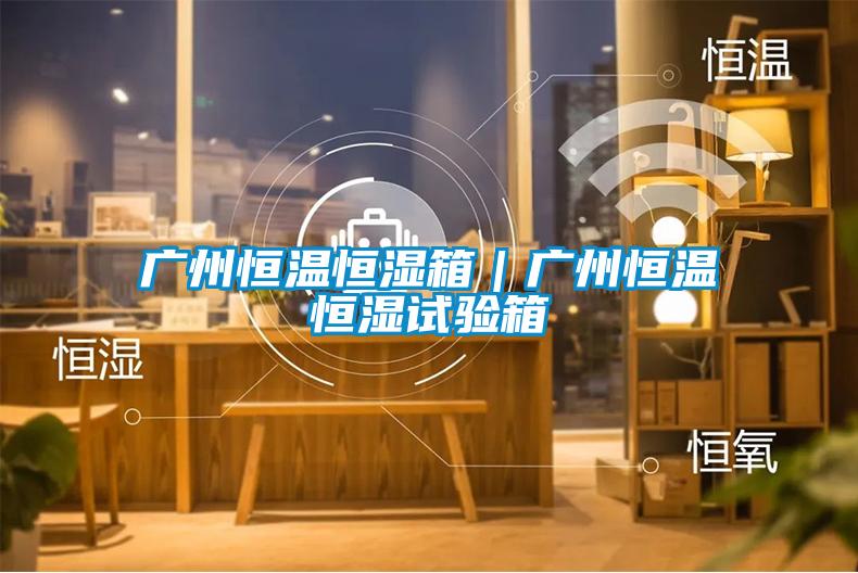 廣州恒溫恒濕箱|廣州恒溫恒濕試驗箱