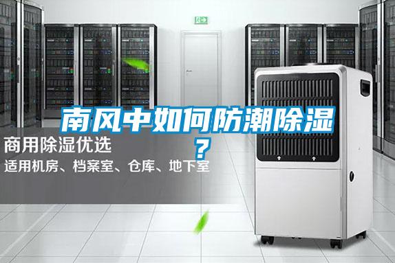 南風(fēng)中如何防潮除濕？