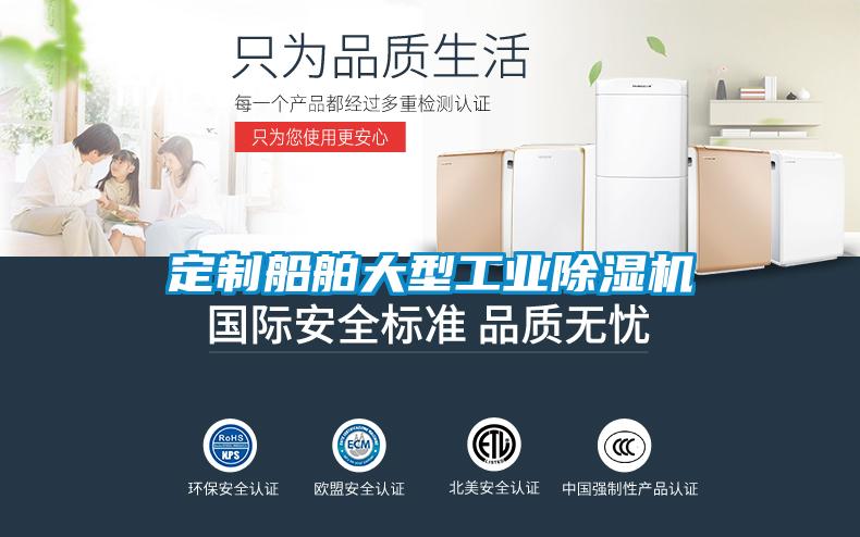 定制船舶大型工業除濕機