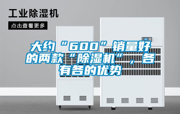 大約“600”銷量好的兩款“除濕機”，各有各的優勢
