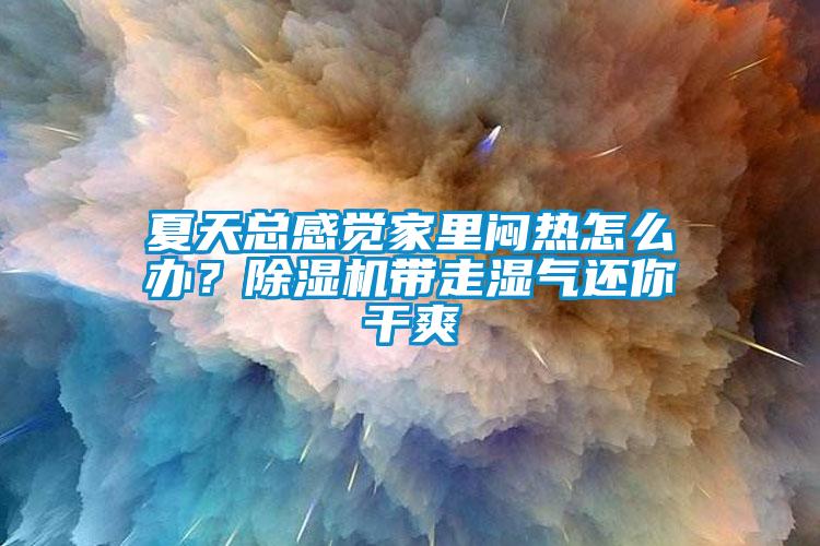 夏天總感覺家里悶熱怎么辦？除濕機帶走濕氣還你干爽
