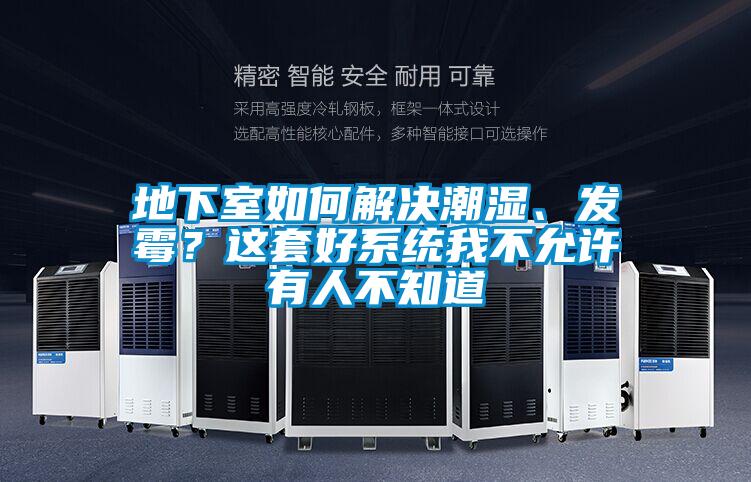 地下室如何解決潮濕、發霉?這套好系統我不允許有人不知道