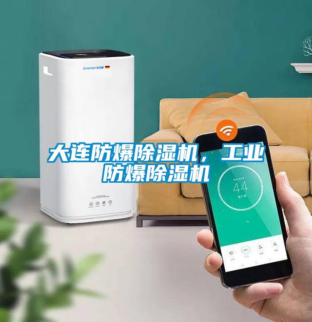 大連防爆除濕機，工業防爆除濕機