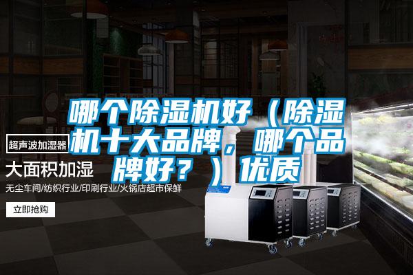 哪個除濕機好（除濕機十大品牌，哪個品牌好？）優質
