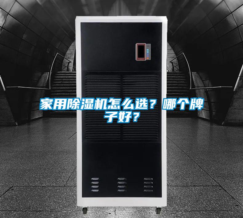 家用除濕機(jī)怎么選?哪個(gè)牌子好?