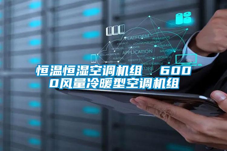 恒溫恒濕空調機組  6000風量冷暖型空調機組