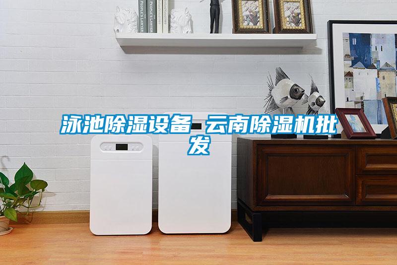 泳池除濕設備 云南除濕機批發