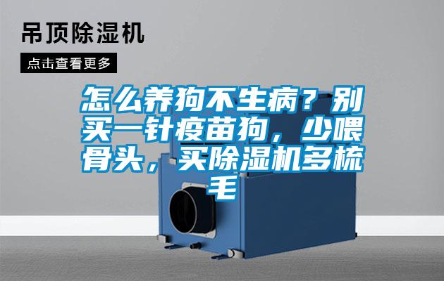 怎么養(yǎng)狗不生病？別買一針疫苗狗，少喂骨頭，買除濕機(jī)多梳毛