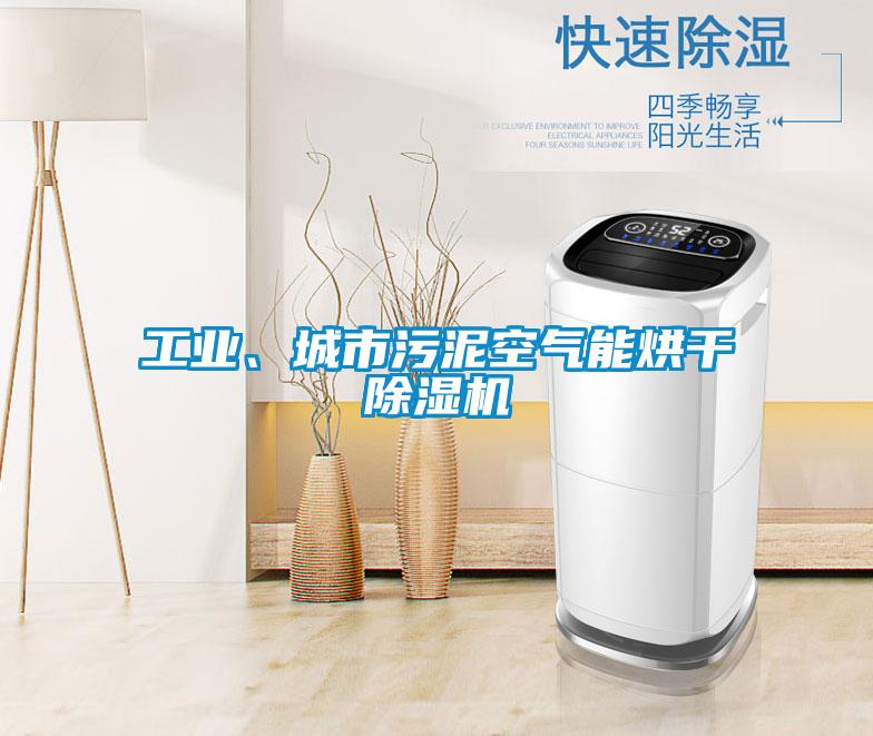 工業(yè)、城市污泥空氣能烘干除濕機