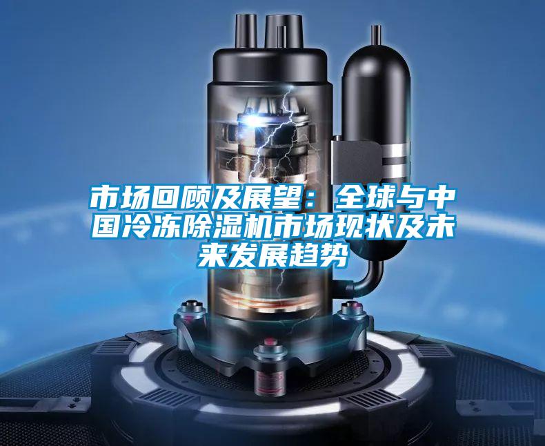 市場回顧及展望:全球與中國冷凍除濕機市場現狀及未來發展趨勢