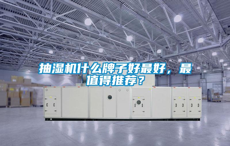 抽濕機什么牌子好最好，最值得推薦？