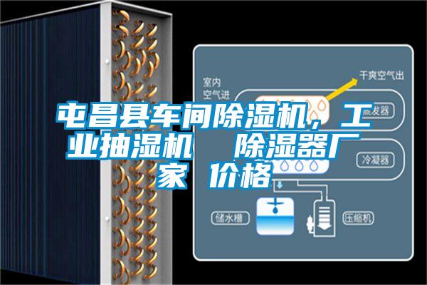 屯昌縣車間除濕機，工業抽濕機  除濕器廠家 價格