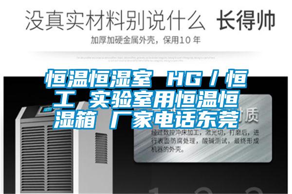 恒溫恒濕室 HG/恒工 實(shí)驗(yàn)室用恒溫恒濕箱 廠家電話東莞