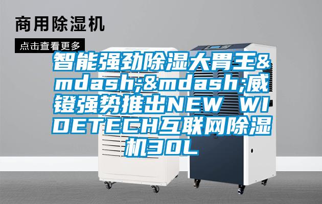 智能強勁除濕大胃王&mdash;&mdash;威鐙強勢推出NEW WIDETECH互聯網除濕機30L