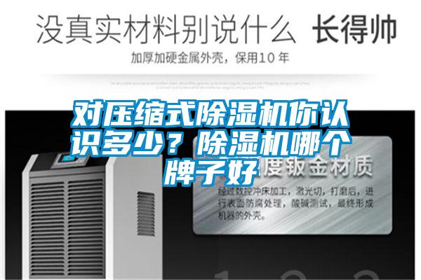對壓縮式除濕機你認識多少?除濕機哪個牌子好