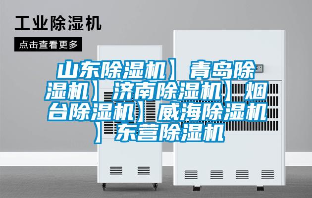 山東除濕機】青島除濕機】濟南除濕機】煙臺除濕機】威海除濕機】東營除濕機