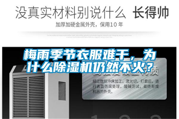 梅雨季節(jié)衣服難干，為什么除濕機仍然不火？